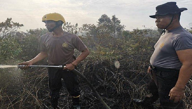 Kebakaran Lahan Gambut di Mempawah, Polisi Berjibaku Padamkan Api