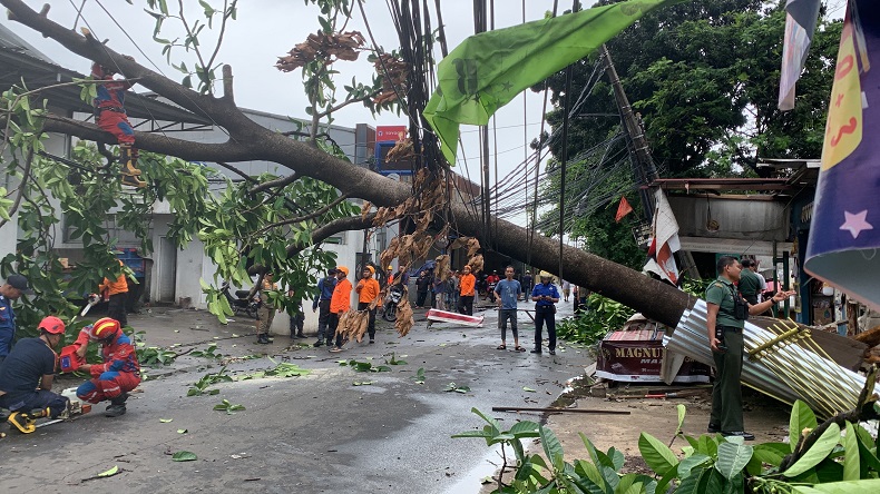 Pohon Tumbang Timpa Kabel Listrik di Jatiasih Bekasi, Lalu Lintas Terputus