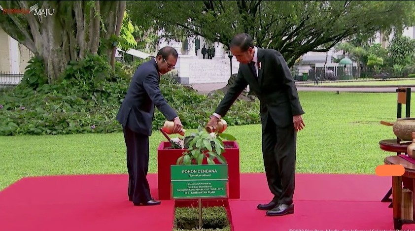 Presiden Jokowi Terima PM Timor Leste, Tanam Pohon Cendana di Istana Bogor