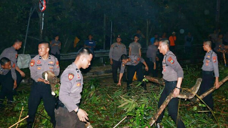 Evakuasi Pohon Tumbang di Jalan Lumimuut Manado, Polda Sulut Kerahkan Pasukan Samapta