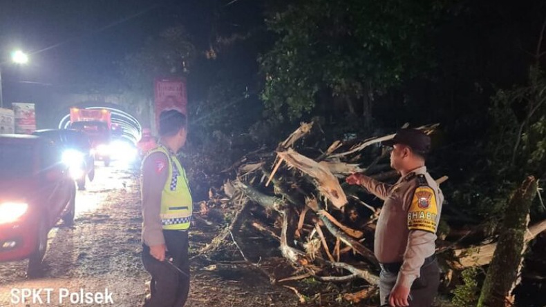 Pohon Tumbang Sudah Dievakuasi, Terowongan Ring Road Manado Kembali Lancar