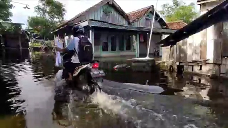 20 Desa di Lamongan Terendam Banjir Luapan Sungai Bengawan Solo 