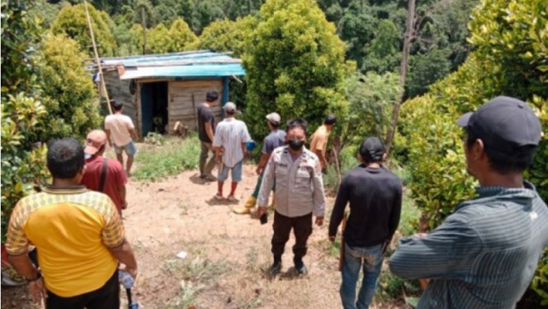 Kolaka Geger, Mayat Membusuk Ditemukan Warga di Kebun