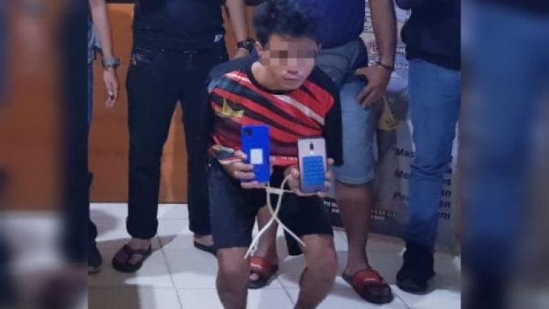 Curi 7 Ekor Babi, Pemuda di Bangka Tengah Ditangkap Polisi