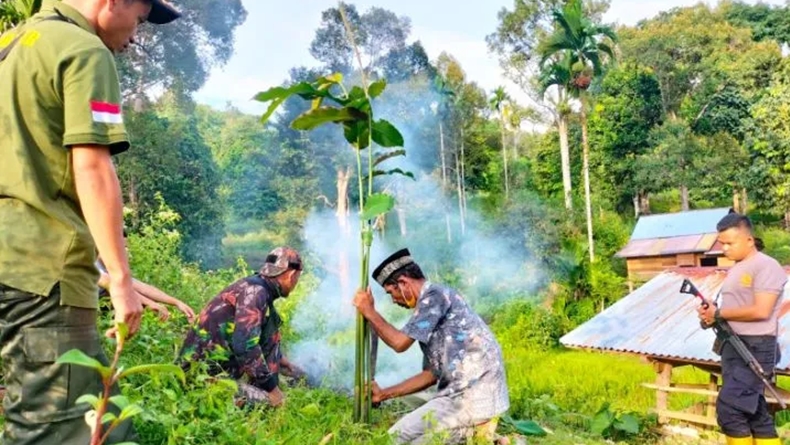 BKSDA Datangkan Pawang untuk Usir Harimau yang Teror Warga Aceh