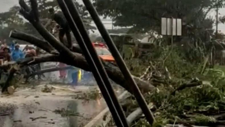 Hujan Es Disertai Angin Kencang di Boyolali, Sejumlah Pohon Tumbang