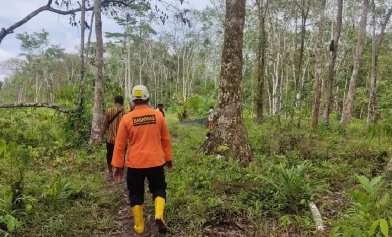 Nenek Misni Hilang di Hutan Karet, Basarnas Pontianak Kirim Tim Pencari