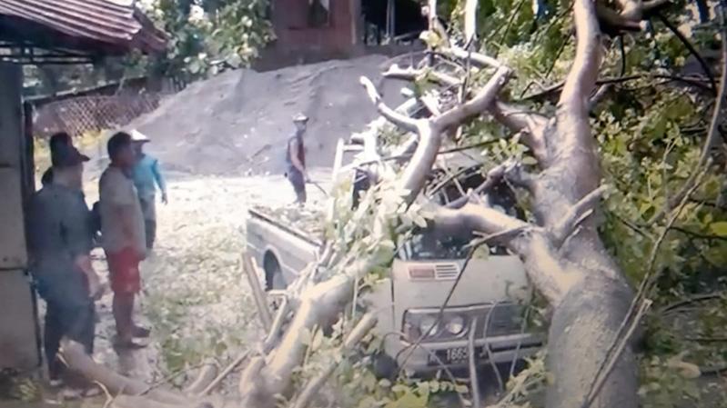 Angin Kencang Terjang Kudus, 3 Pohon Roboh Timpa Bangunan Toko dan Mobil Pikap