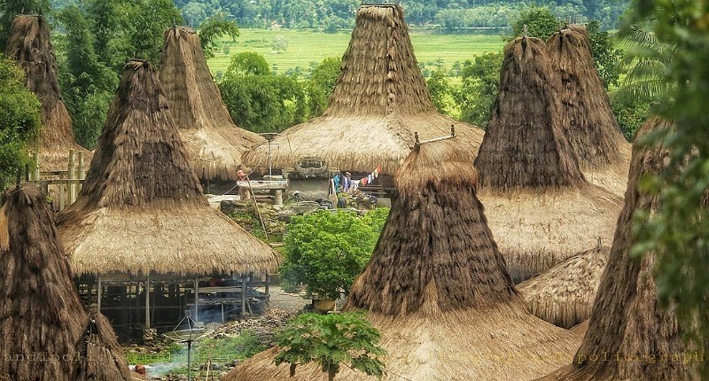 Kampung Unik di Sumba, Singgah ke Desa yang Suasananya Indah Mirip Zaman Megalitikum