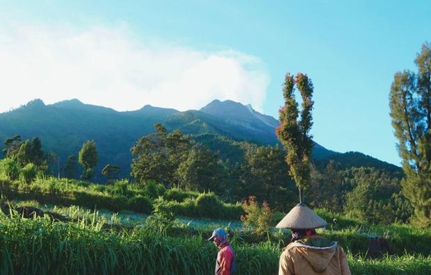 Dalam Sepekan Gunung Merapi Luncurkan 2 Kali Guguran Lava Pijar Sejauh 1.000 Meter