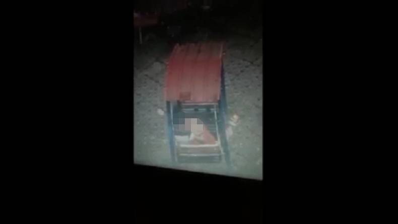 Viral Sejoli Bermesraan di Ayunan Taman Kota Sampang, Diduga Mesum