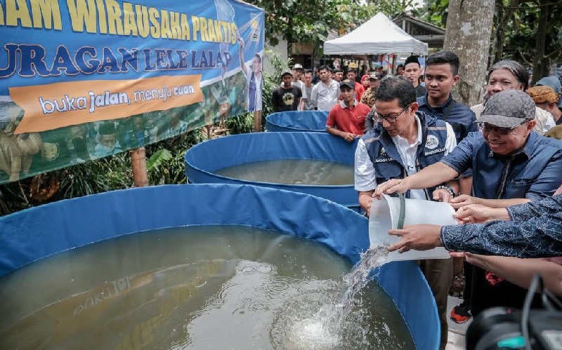 Sandiaga Uno Panen Lele Bareng Elite PKS di Depok: Gerakkan Ekonomi Warga