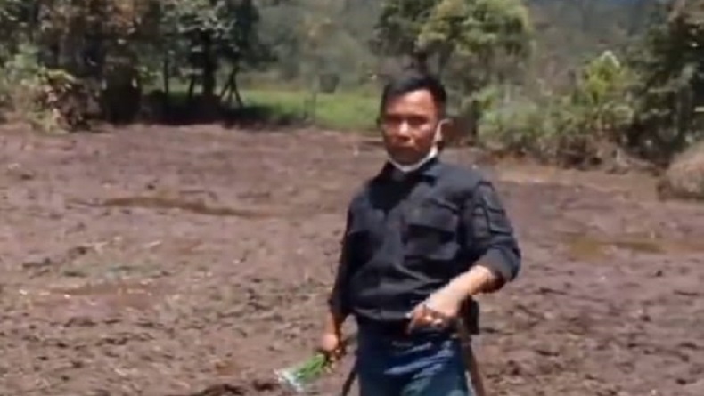Pakar Unpad Sebut Bunga Rawa yang Dirusak Motor Trail termasuk Tanaman Langka