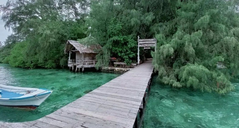 Menjaga Kelestarian Pantai dan Mangrove di Kepulauan Seribu dari Sampah Plastik 