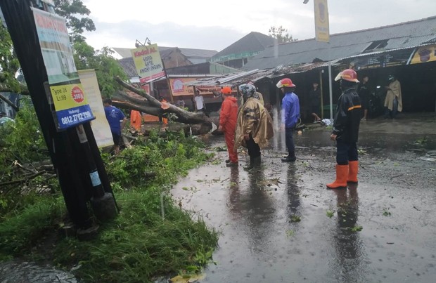 7 Kelurahan dari 5 Kapanewon di Bantul Terdampak Hujan Deras dan Angin Kencang