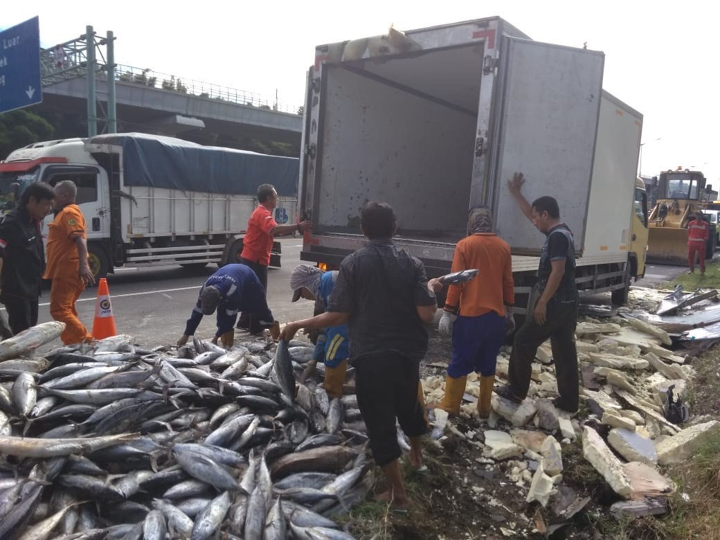 Miris, Truk Muatan Ikan Dijarah Warga usai Kecelakaan di Tol Japek