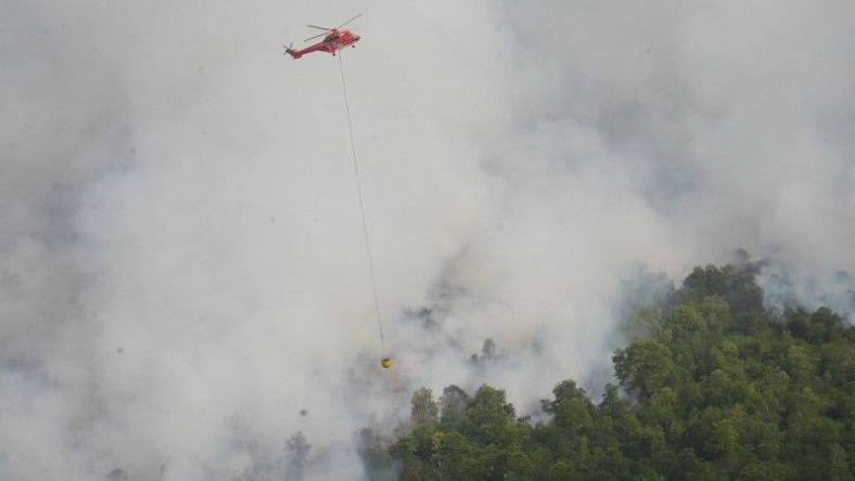 Kalbar Siaga Darurat Bencana Asap, BNPB Kerahkan Pesawat Modifikasi Cuaca