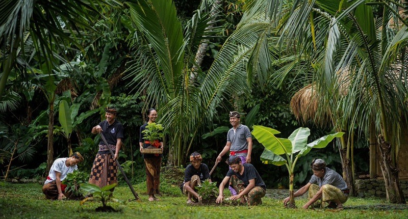 Lestarikan Warisan Budaya Bali, The Apurva Kenalkan Sustainable Agriculture