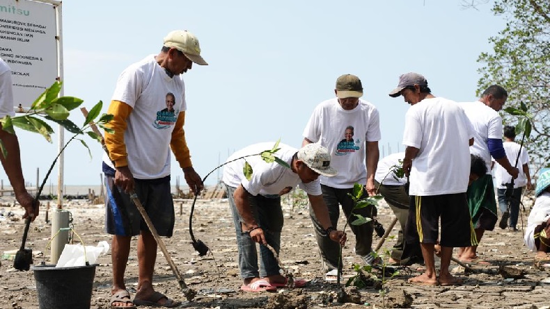 Komunitas Nelayan Tanam Mangrove dan Bagikan Lampu untuk Melaut di Karawang
