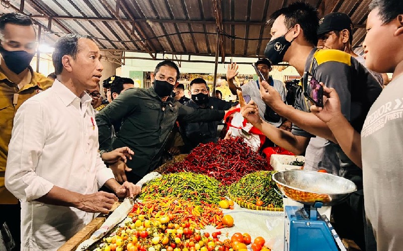 Kunjungan Kerja ke Lampung, Jokowi Singgung Infrastruktur Jalan Pengaruhi Harga Barang