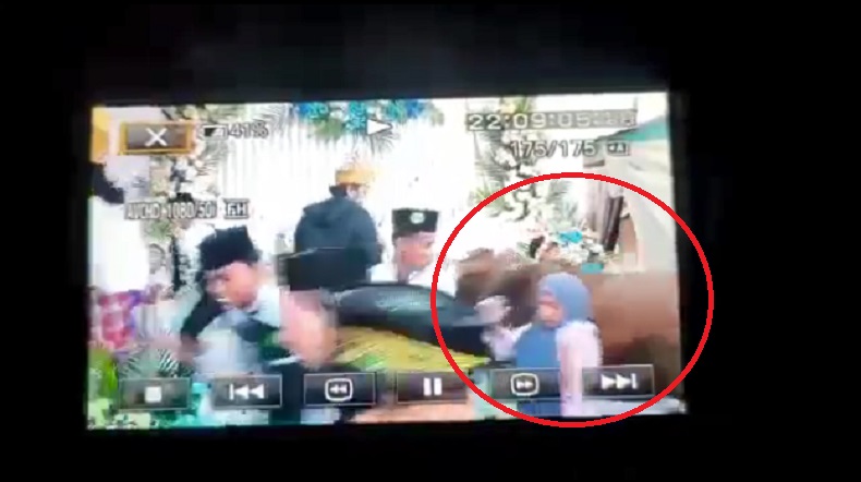 Viral Sapi Naik ke Pelaminan di Sampang, Nyaris Seruduk Pengantin hingga Rusak Dekorasi