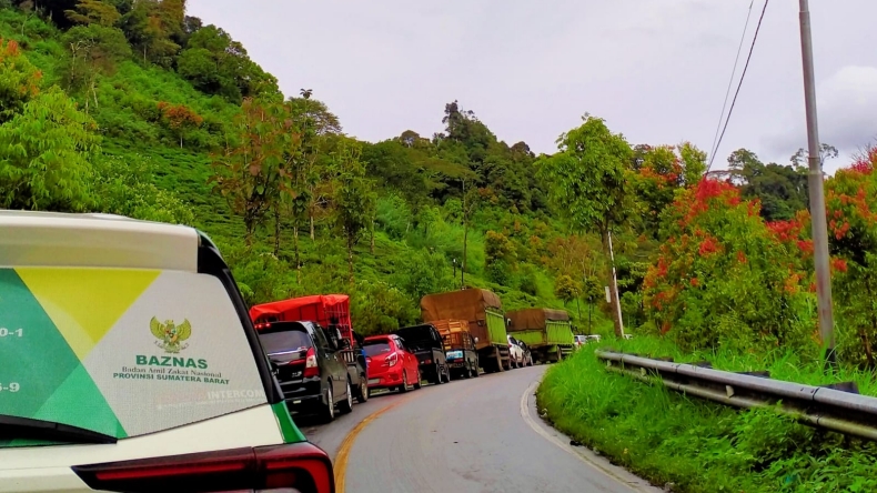 Ada Pohon Tumbang Melintang di Jalan, Jalan Nasional Batang Barus Solok Macet