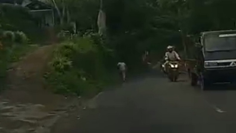 Curah Hujan Tinggi, Jalan Alternatif Temanggung-Semarang Rawan Longsor