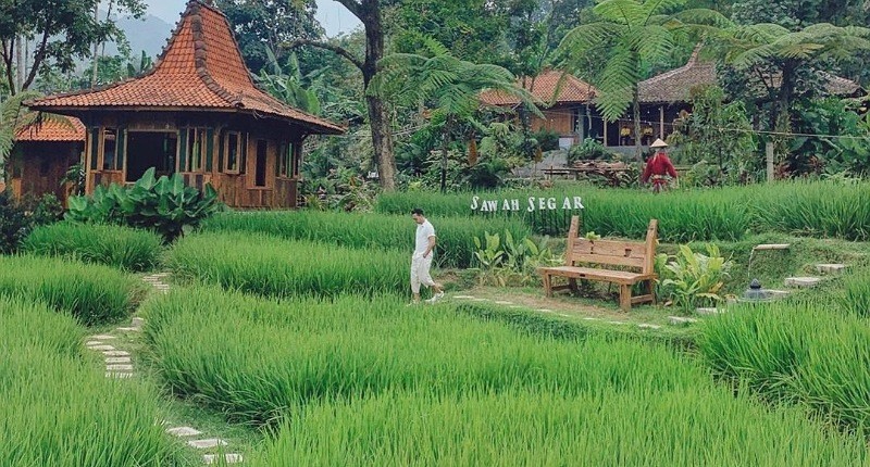 10 Tempat Makan Lesehan di Bogor yang Enak dan Murah, Nomor 3 Suasananya seperti di Ubud 