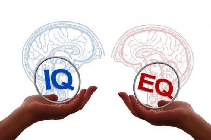 6 Tanda IQ Tinggi pada Anak, Apa Saja? Ortu Wajib Tahu!