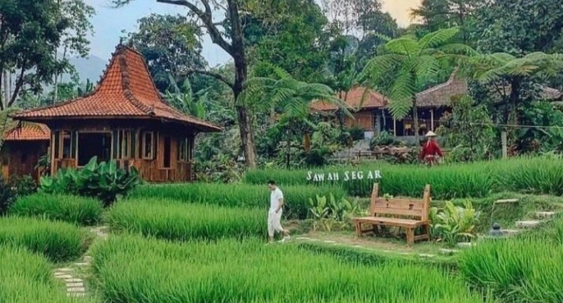 Ide Liburan ke Sentul saat Akhir Pekan, Asyik Singgah ke Pasar Apung dan Sawah Segar 