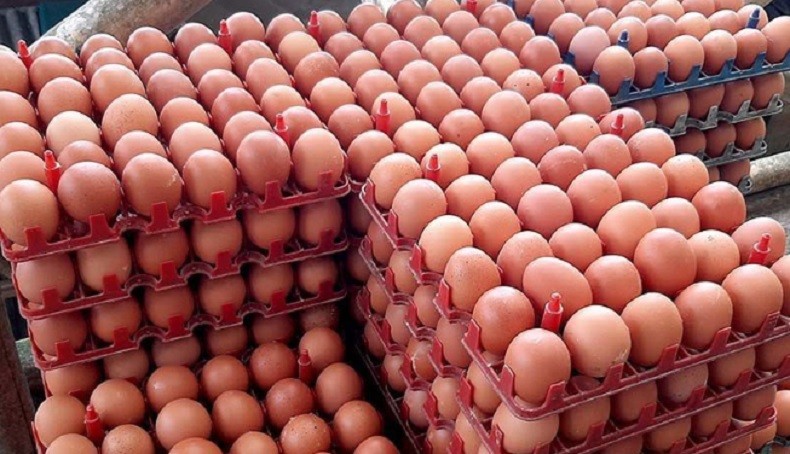 Harga Telur Ayam Ras Melonjak, Pemprov Babel Tambah Pasokan 29 Ton