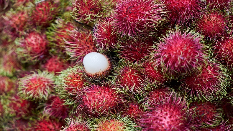 6 Daerah Penghasil Rambutan di Indonesia, Nomor 5 Rasa Manisnya Paling Dicari