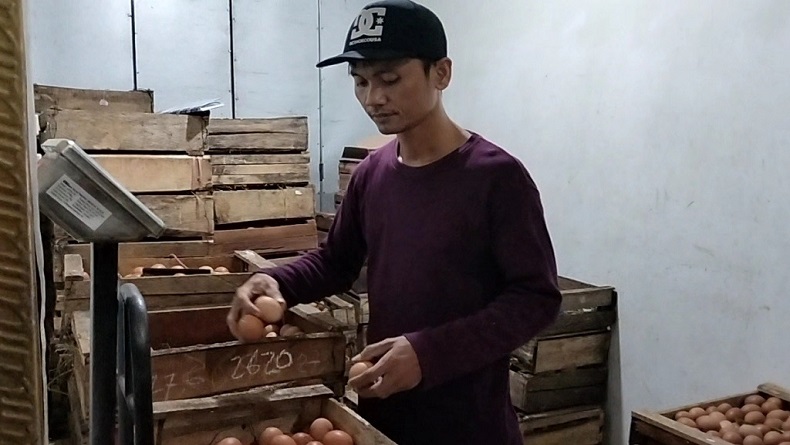 Pasokan Berkurang, Harga Telur di Batang Terus Melonjak