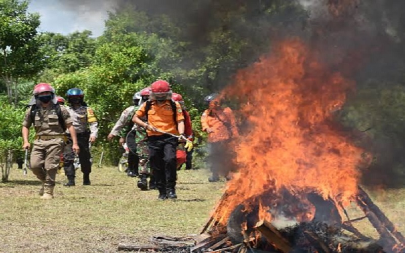 Muba Siapkan Rp10 Miliar untuk Cegah Karhutla Pemicu Bencana Asap 