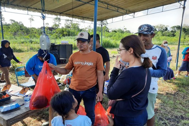  Wisatawan Bisa Rasakan Sensasi Petik Semangka Langsung di Agrowisata Grogol Flora Folri Gunungkidul