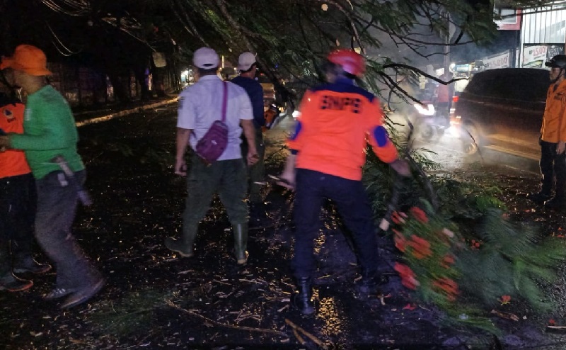 Hujan Angin, Pohon Tumbang Berukuran Besar Tutup Akses Jalan di Setu Tangsel
