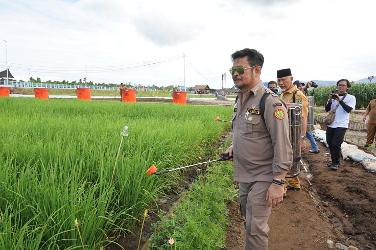 Mentan Ingatkan 2 Tantangan Pertanian yang Jadi Ancaman Ketahanan Pangan