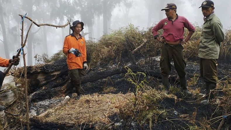 Kasus Kebakaran Hutan di Gunung Arjuno-Welirang, Pengelola Lapor Polisi 