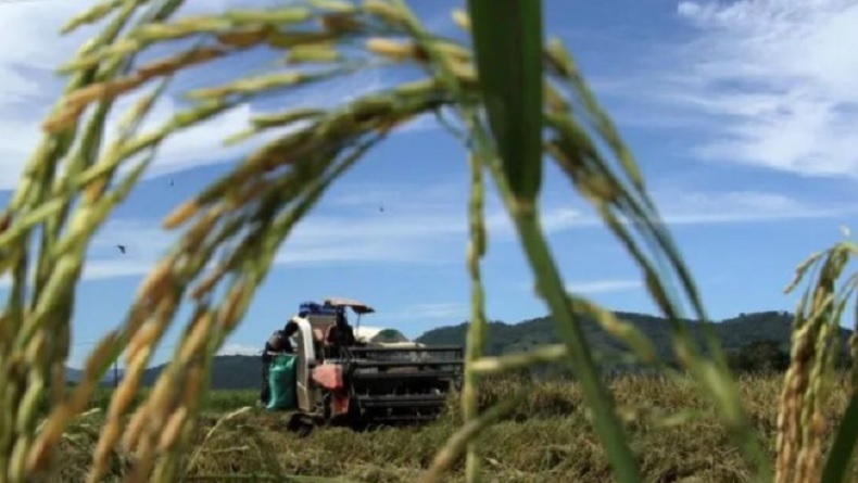 Ekonomi RI Tumbuh 4,94 Persen di Kuartal III 2023, BPS: Kontribusi Pertanian Signifikan