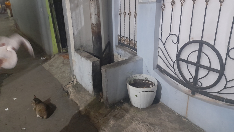 Warga Bekasi Geger, Dikira Kucing Ternyata Bayi Terbungkus Plastik di Tempat Sampah