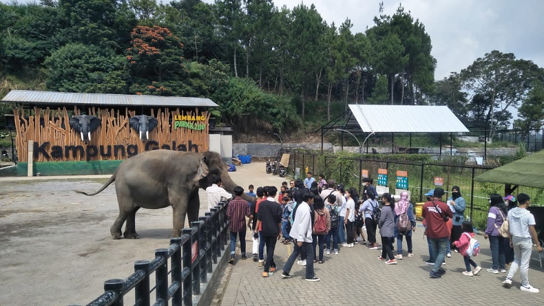 Kunjungan Wisatawan ke Lembang KBB Naik 50 Persen selama Libur Panjang