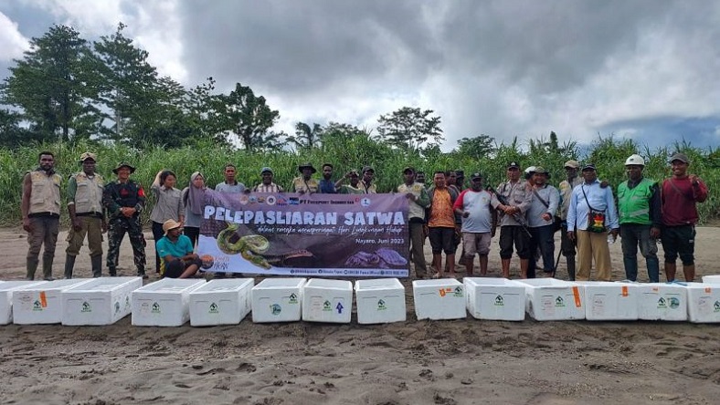 4.279 Satwa Dilindungi Dilepas di Hutan Mimika, Ada Sanca Hijau hingga Biawak Maluku