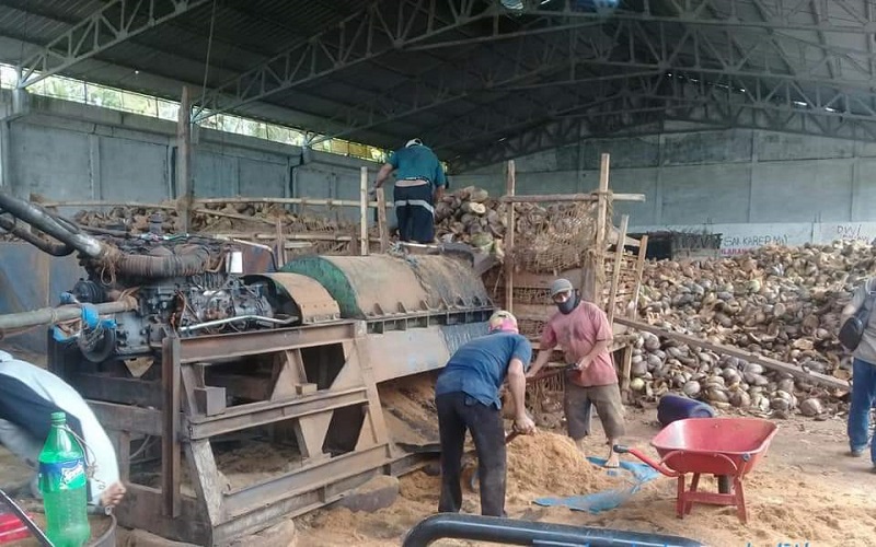 5 Daerah Penghasil Kelapa Terbesar di Sumsel, Tertinggi dari Tetangga Palembang 