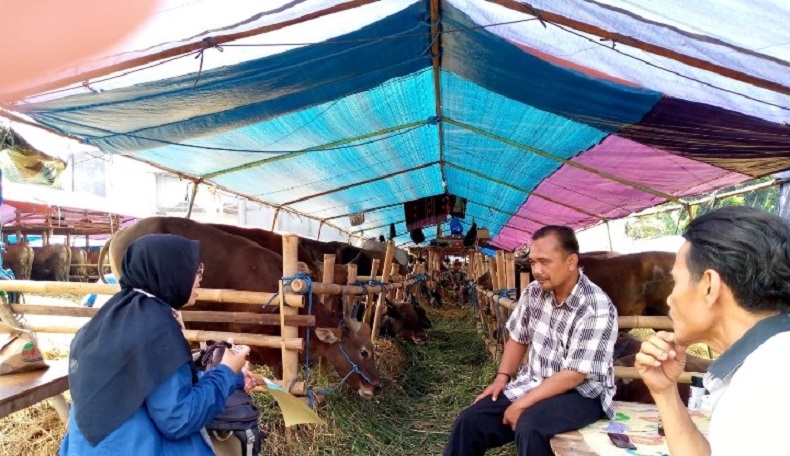 Jelang Idul Adha, Pemkab Bogor Cek Kesehatan Hewan Kurban di Peternak hingga Pedagang 