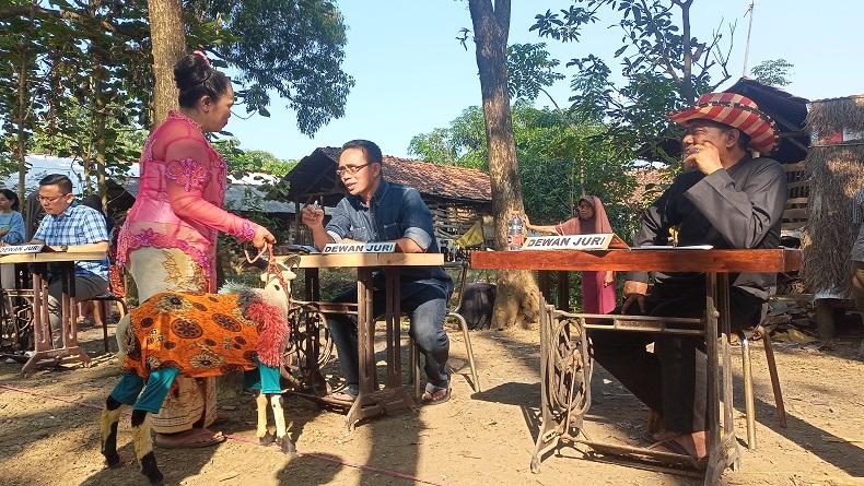 Ngarit Award Majalengka, Pencari Rumput Berbusana Necis Tampil di Catwalk