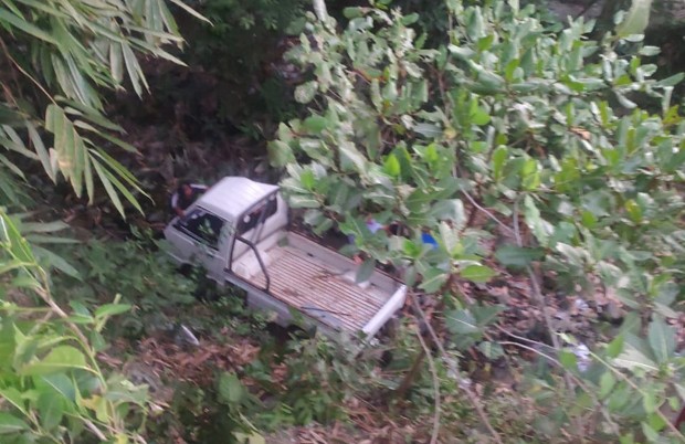 Tabrakan dengan Motor yang Tiba-Tiba Berbelok, Pikap Terjun ke Jurang 