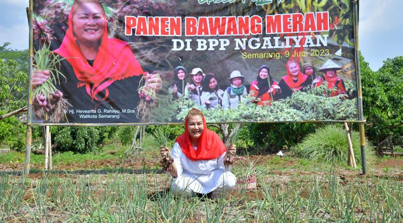 Wali Kota Ingin Semarang jadi Pemasok Bawang Merah untuk Wilayah Hinterland