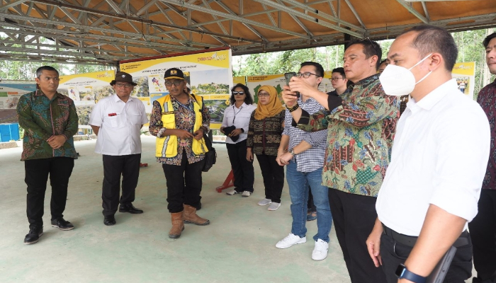 Perusahaan Energi Terbarukan UEA Tertarik Investasi di IKN 