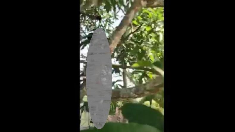 Pamit Cari Kerja, Pria Banjar Ditemukan Tewas Tergantung di Pohon Dekat Sawah