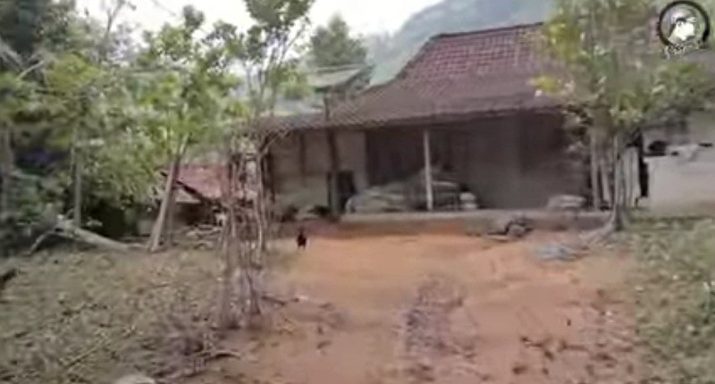 Kampung Unik di Ponorogo, Singgah ke Desa Terpencil Hanya Dihuni 10 Rumah, Warganya Hidup Bahagia